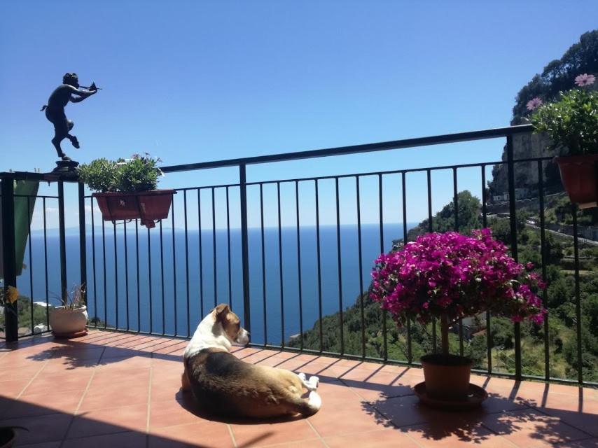 Bed & Breakfast Domus Gaia